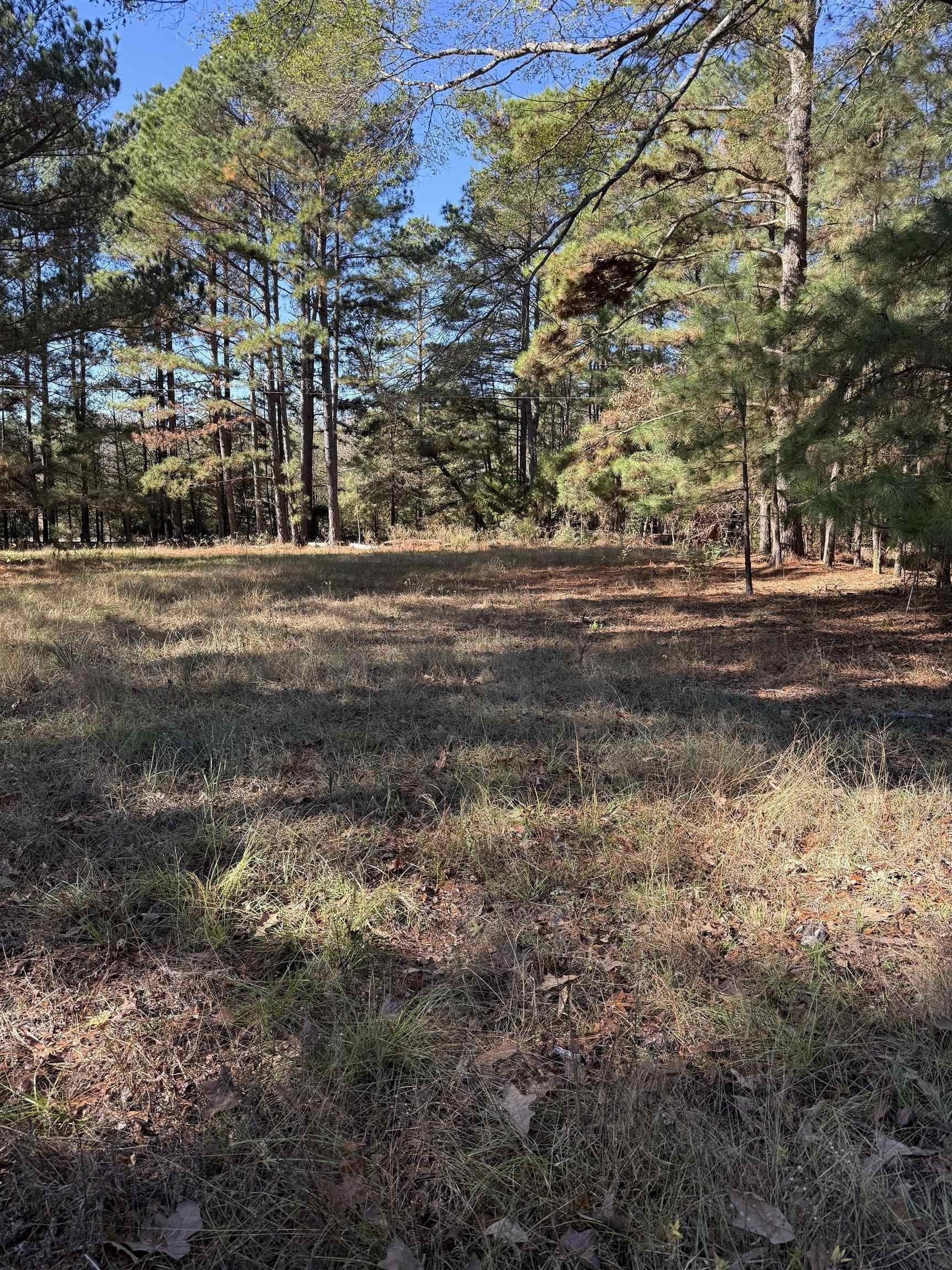 8.71 acres in Texas County - photo 7