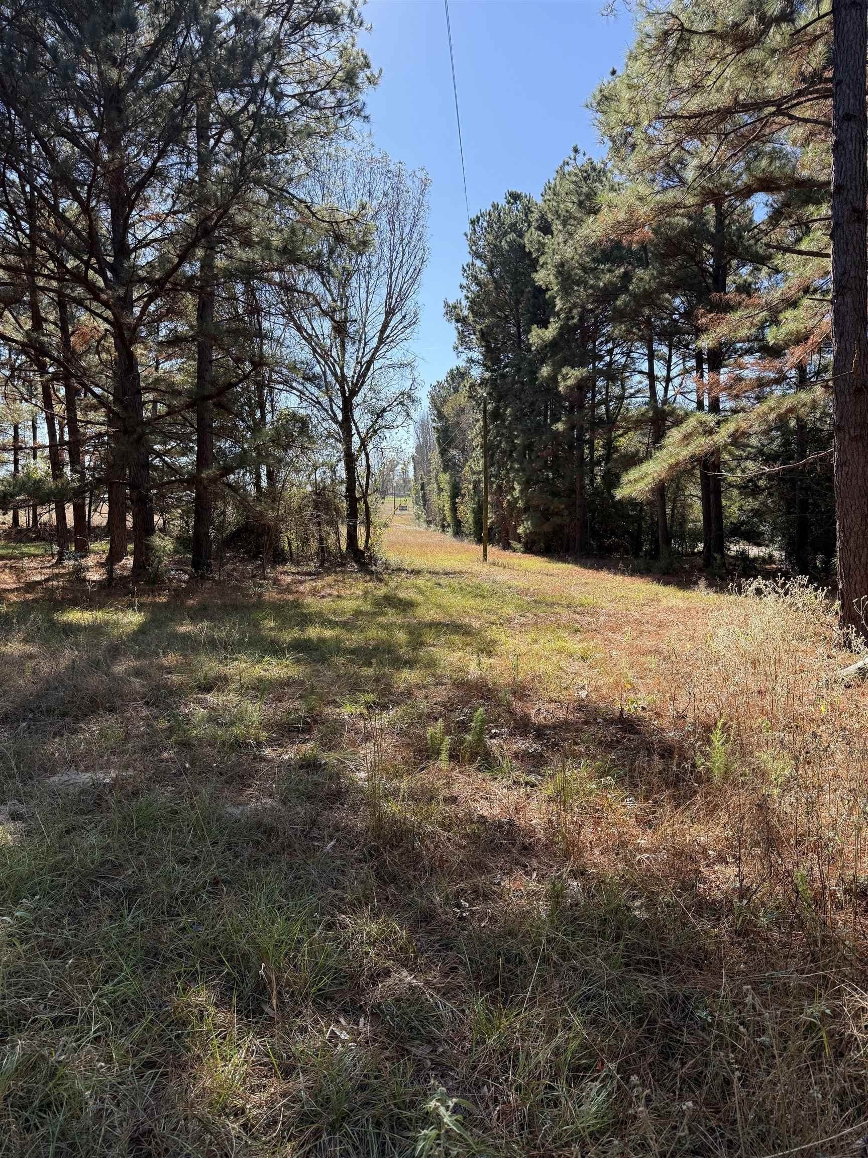 8.71 acres in Texas County - photo 9