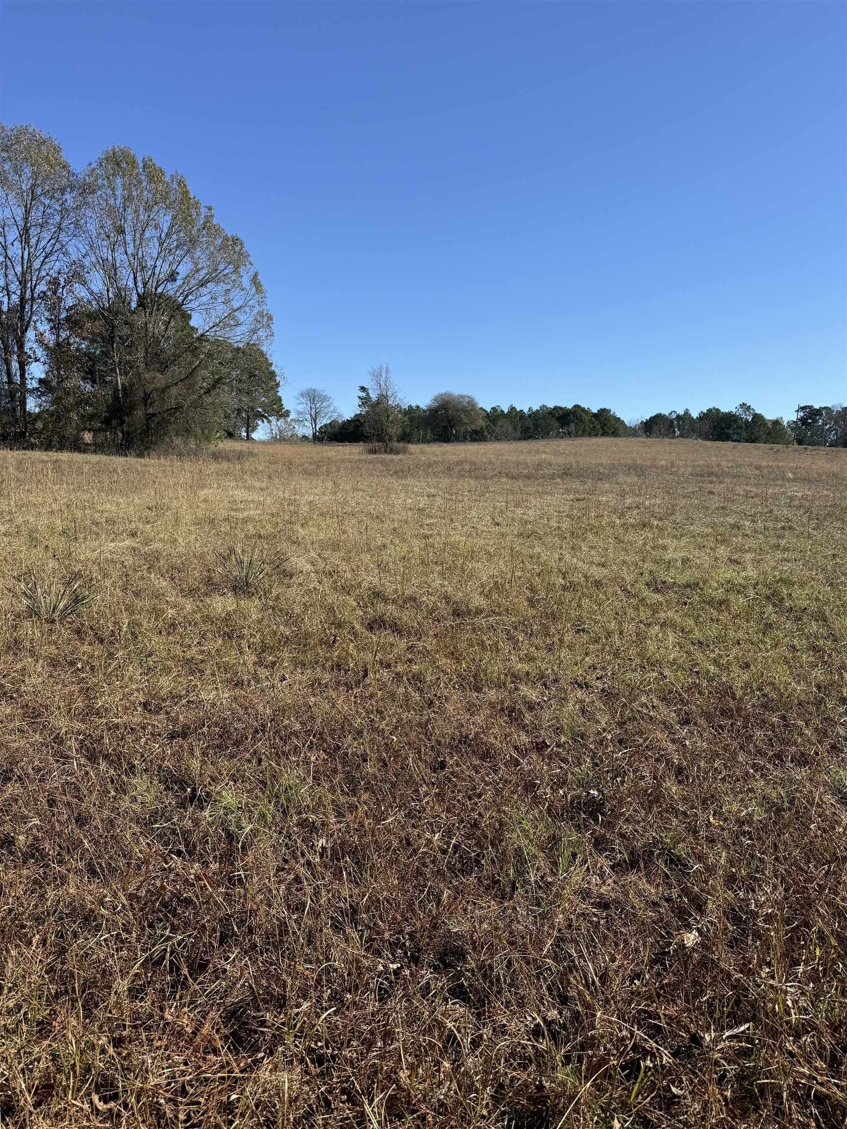 8.71 acres in Texas County - photo 11