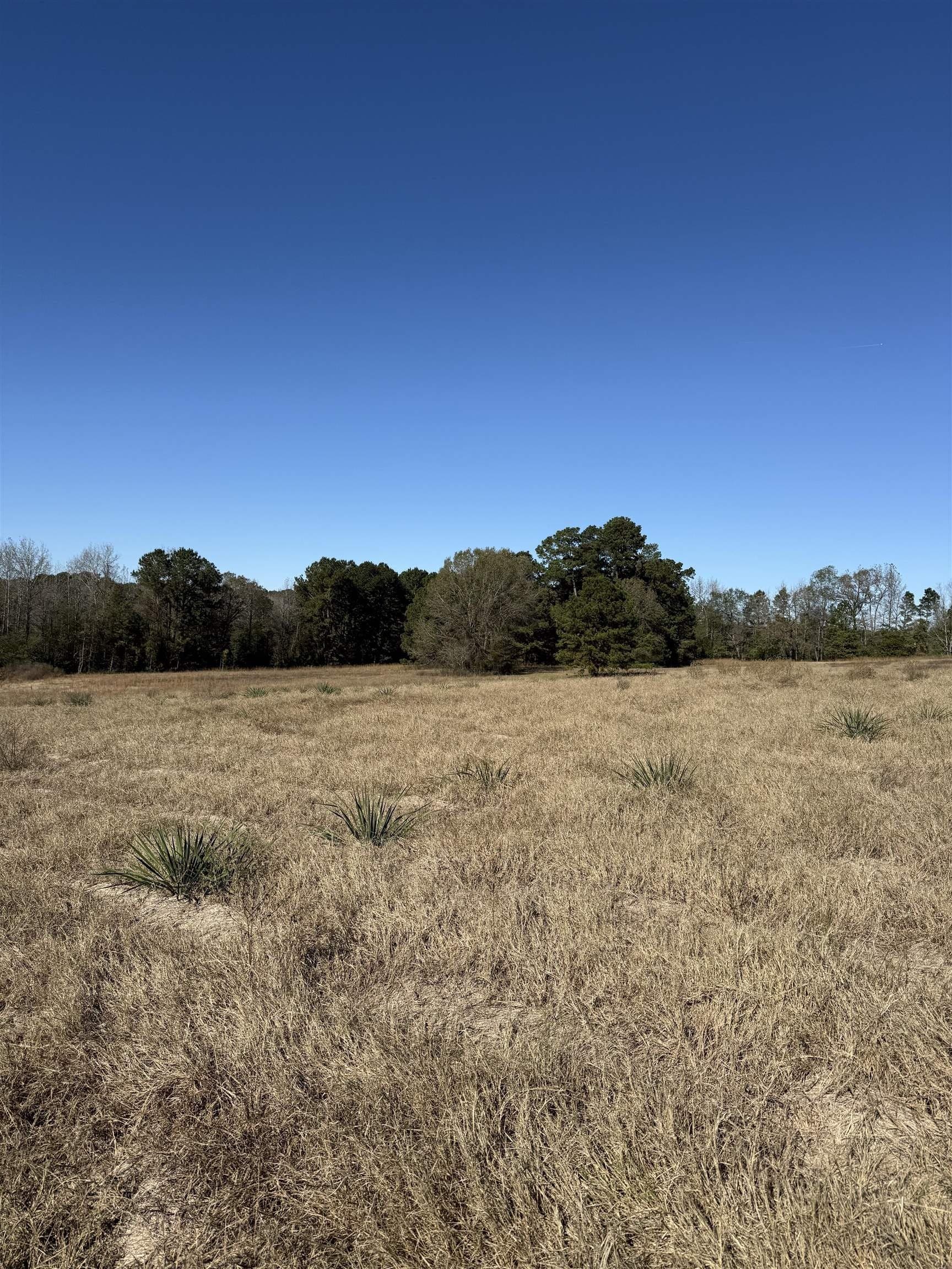 8.71 acres in Texas County - photo 2