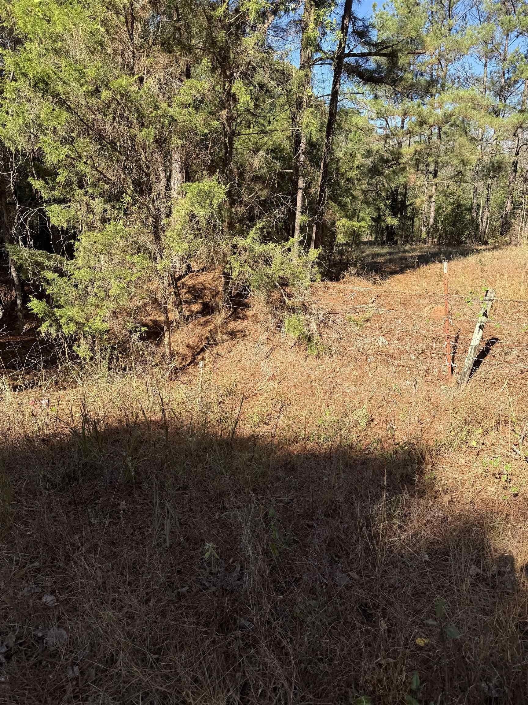8.71 acres in Texas County - photo 8