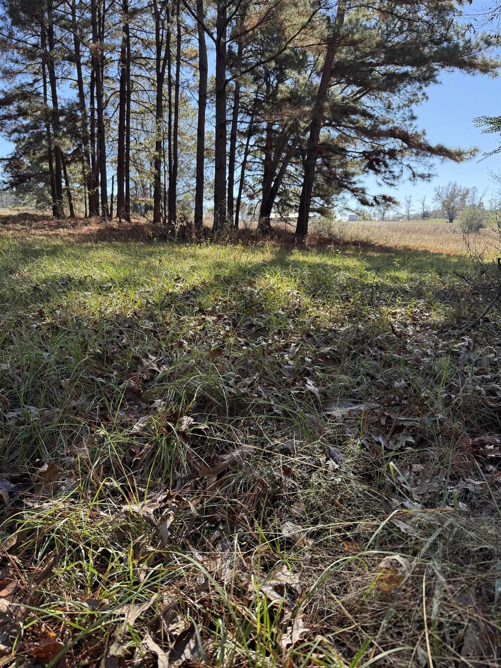 8.71 acres in Texas County - photo 10