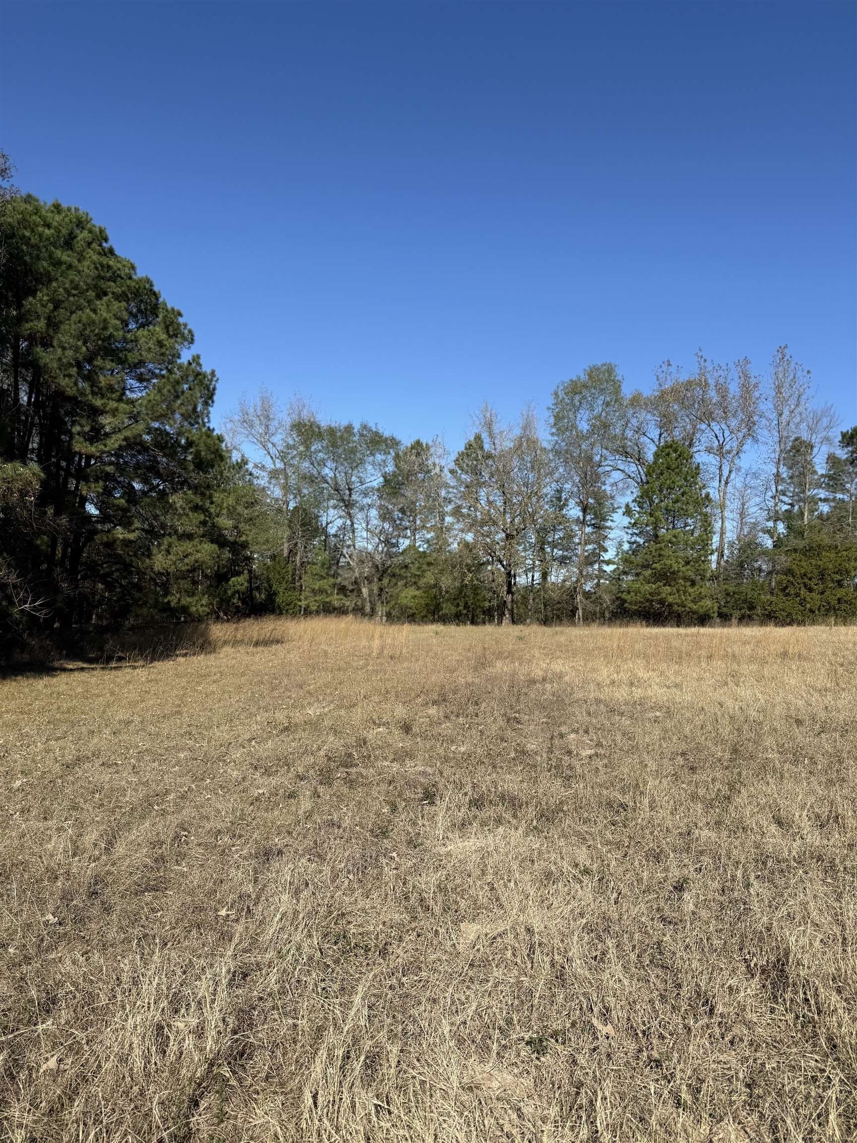 8.71 acres in Texas County - photo 4