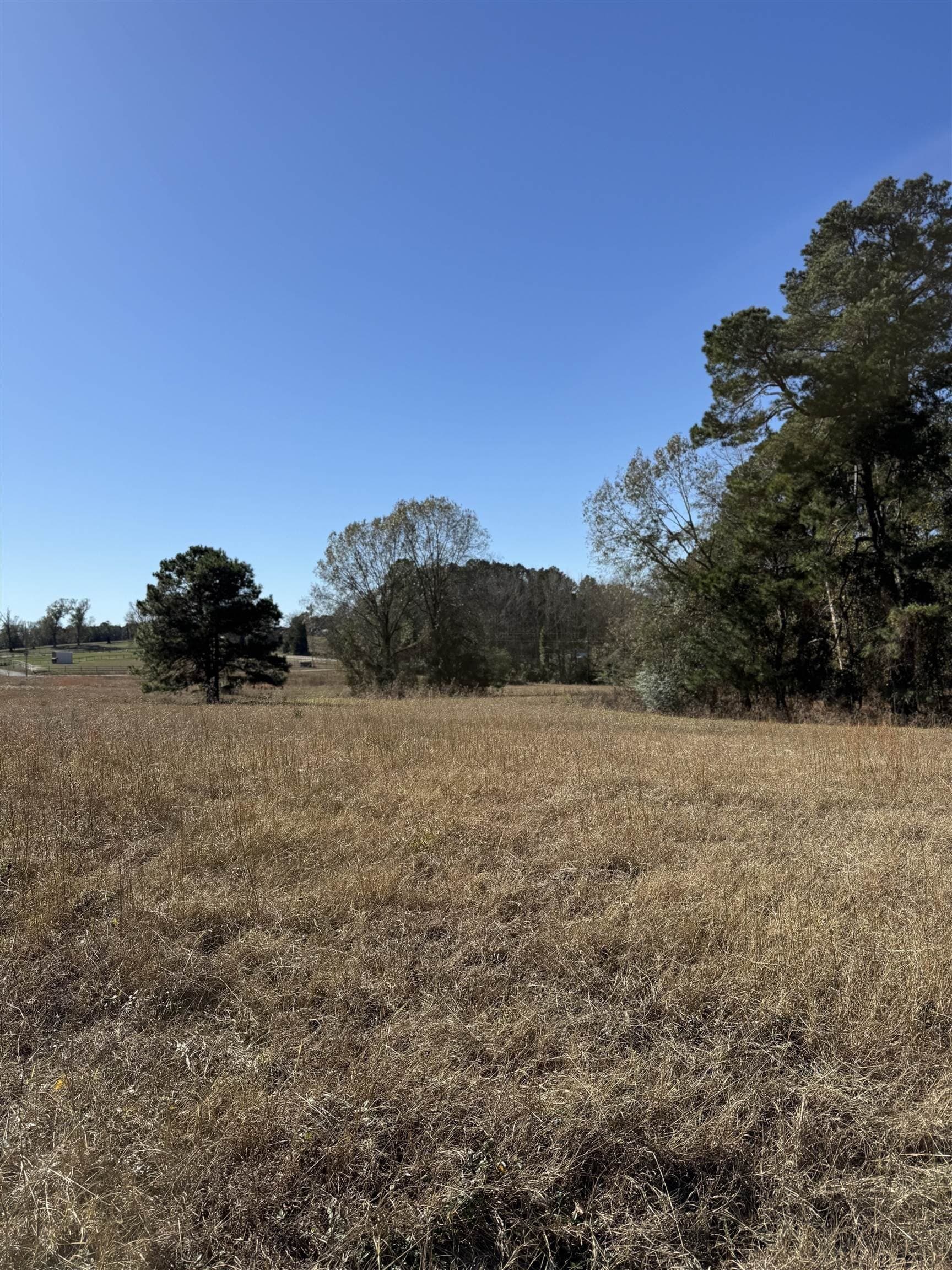 8.71 acres in Texas County - photo 5