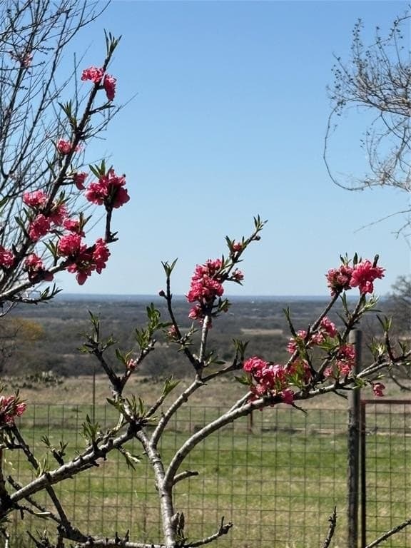 240 acres in Mills County - photo 7
