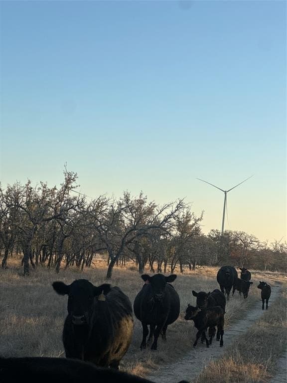 240 acres in Mills County - photo 5