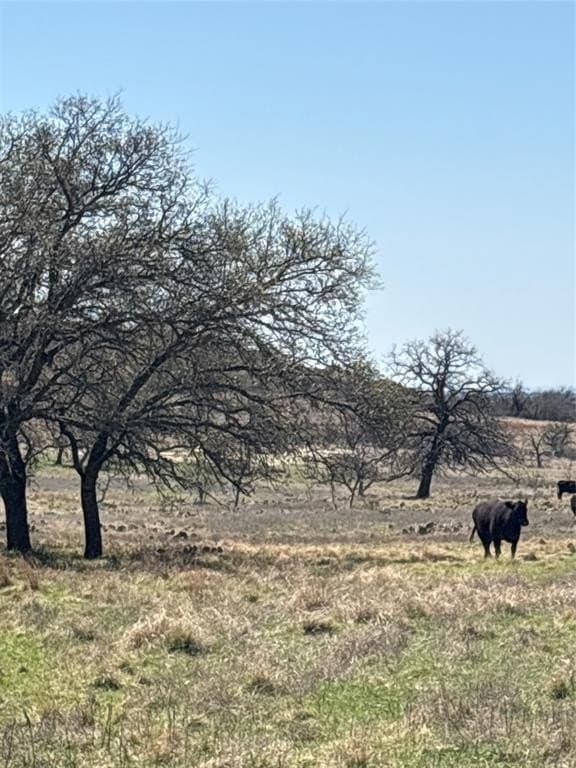 240 acres in Mills County - photo 32