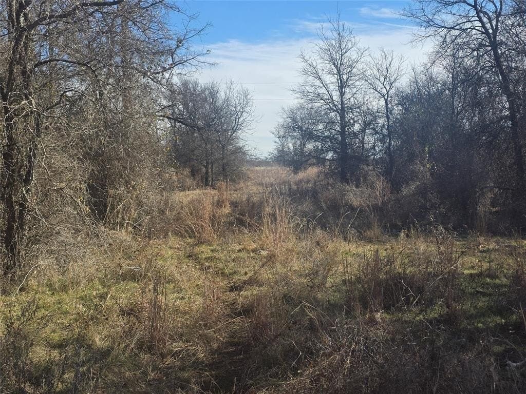 5.17 acres in Palo Pinto County - photo 8