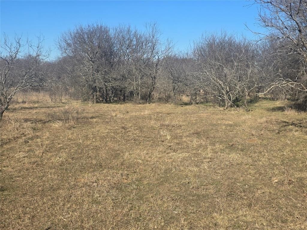 5.17 acres in Palo Pinto County - photo 9
