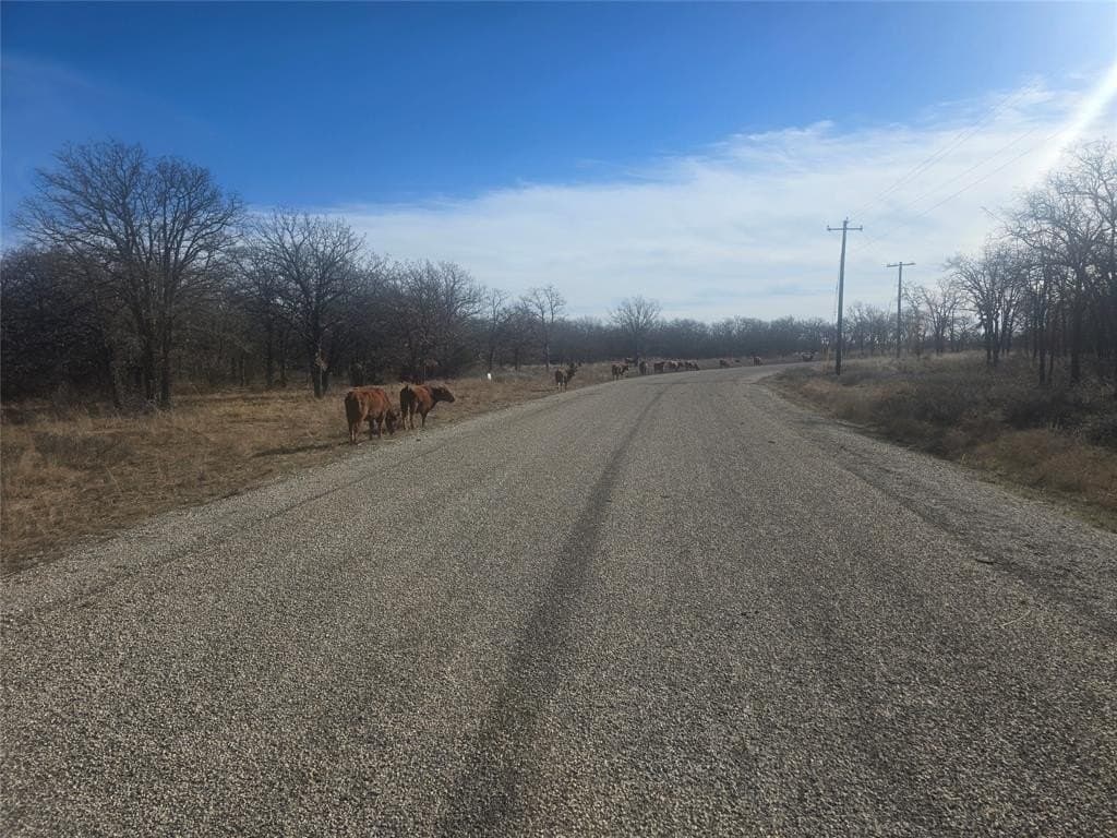 5.17 acres in Palo Pinto County - photo 3