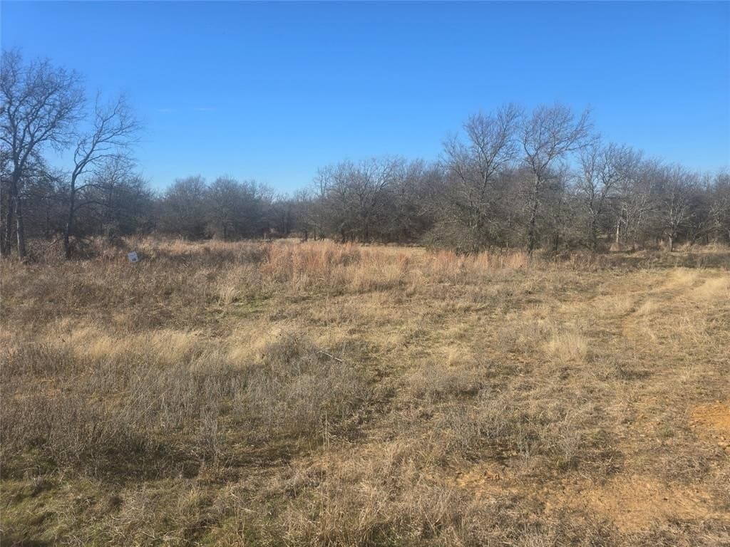 5.17 acres in Palo Pinto County - photo 6