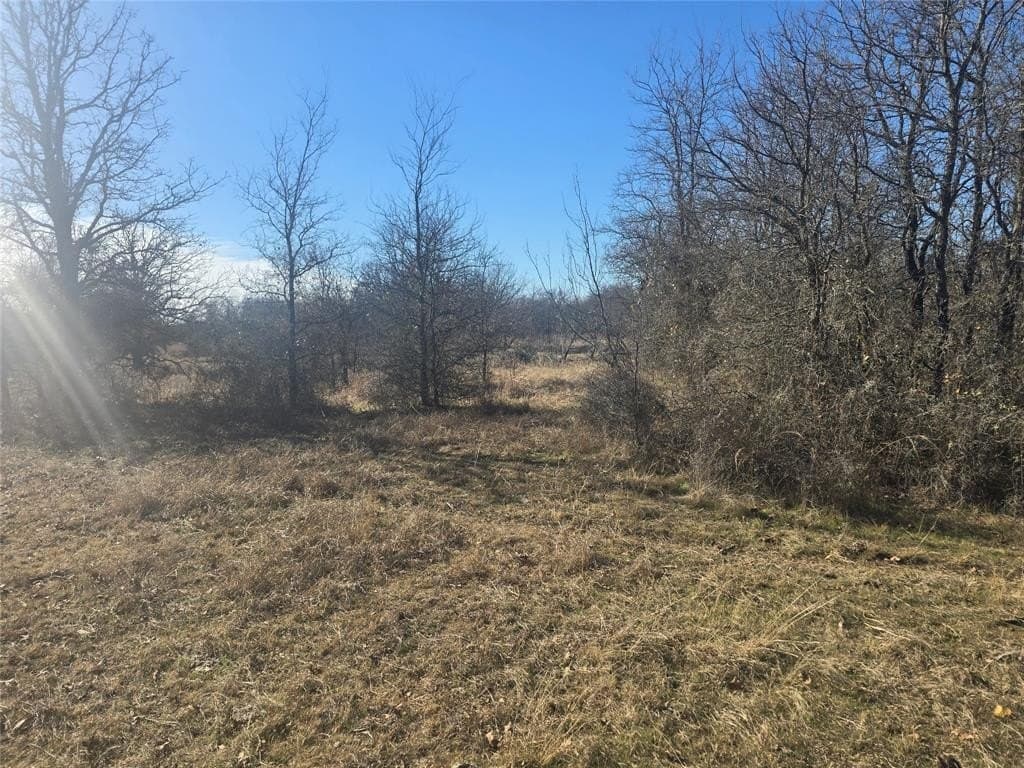 5.17 acres in Palo Pinto County - photo 2