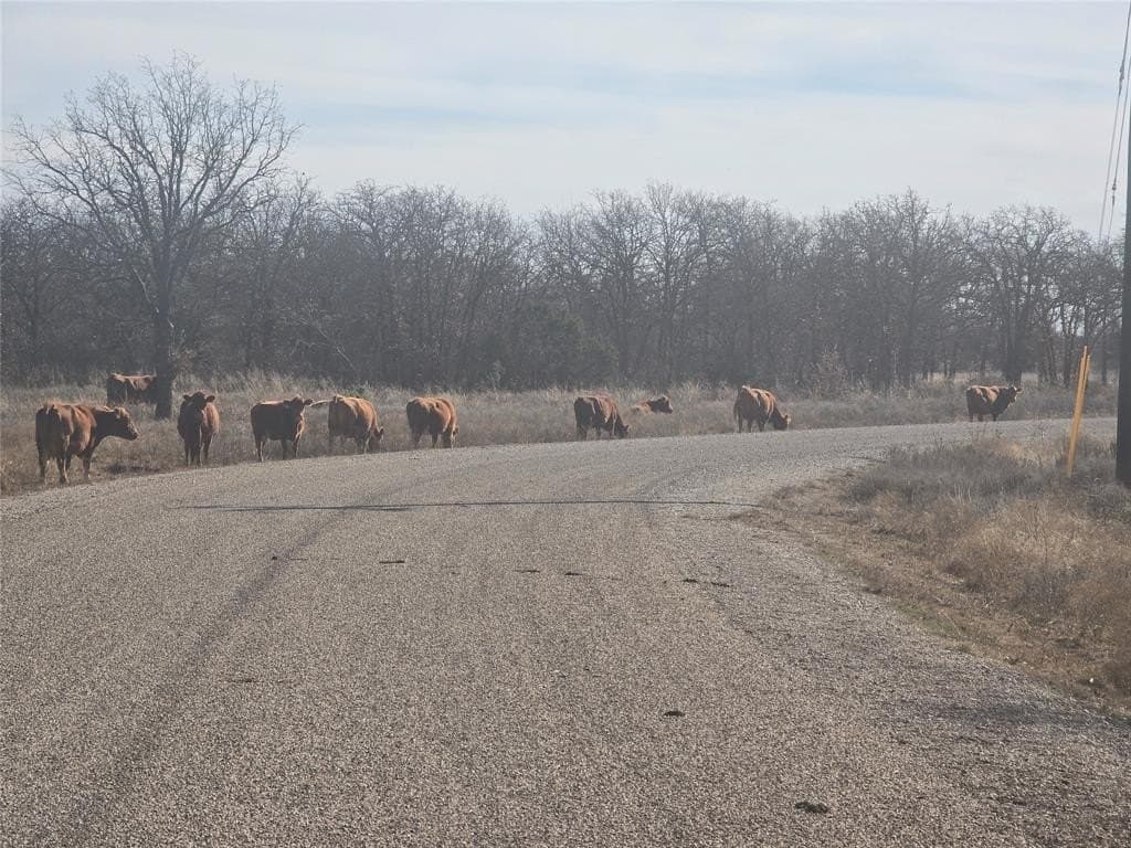 5.17 acres in Palo Pinto County - photo 14