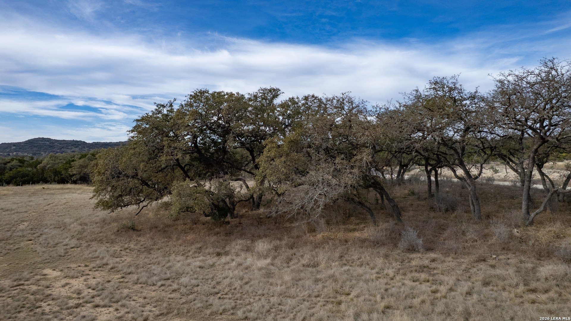 48.2 acres in Real County - photo 11