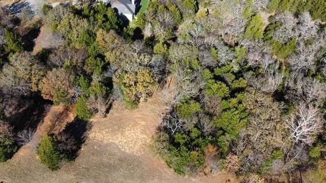 0.24 acres in Grayson County - photo 2