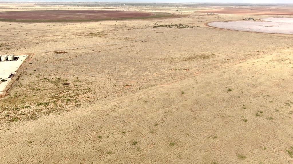 60 acres in Andrews County - photo 4