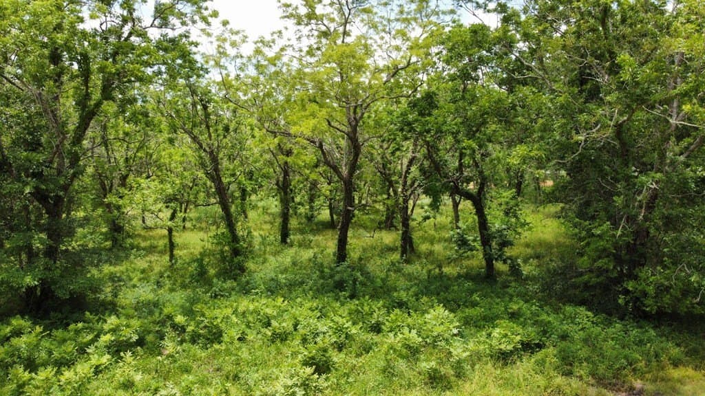 2.14 acres in Texas County - photo 8