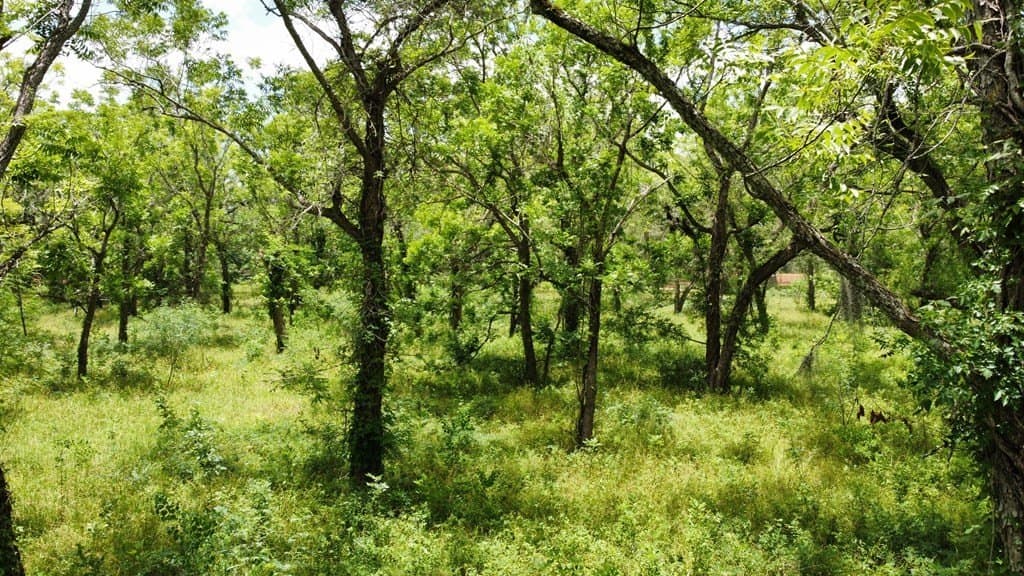 2.14 acres in Texas County - photo 9