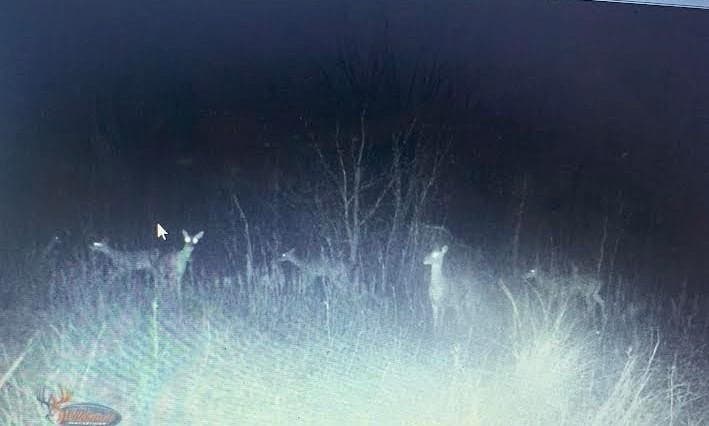 39.64 acres in Hill County - photo 18