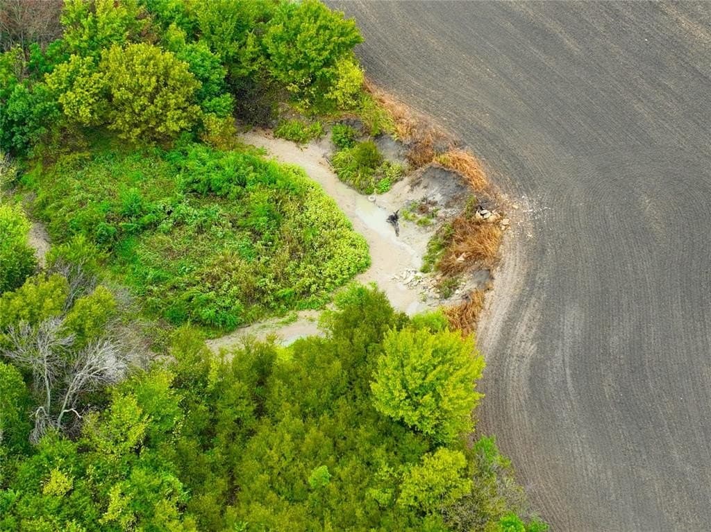 39.64 acres in Hill County - photo 6