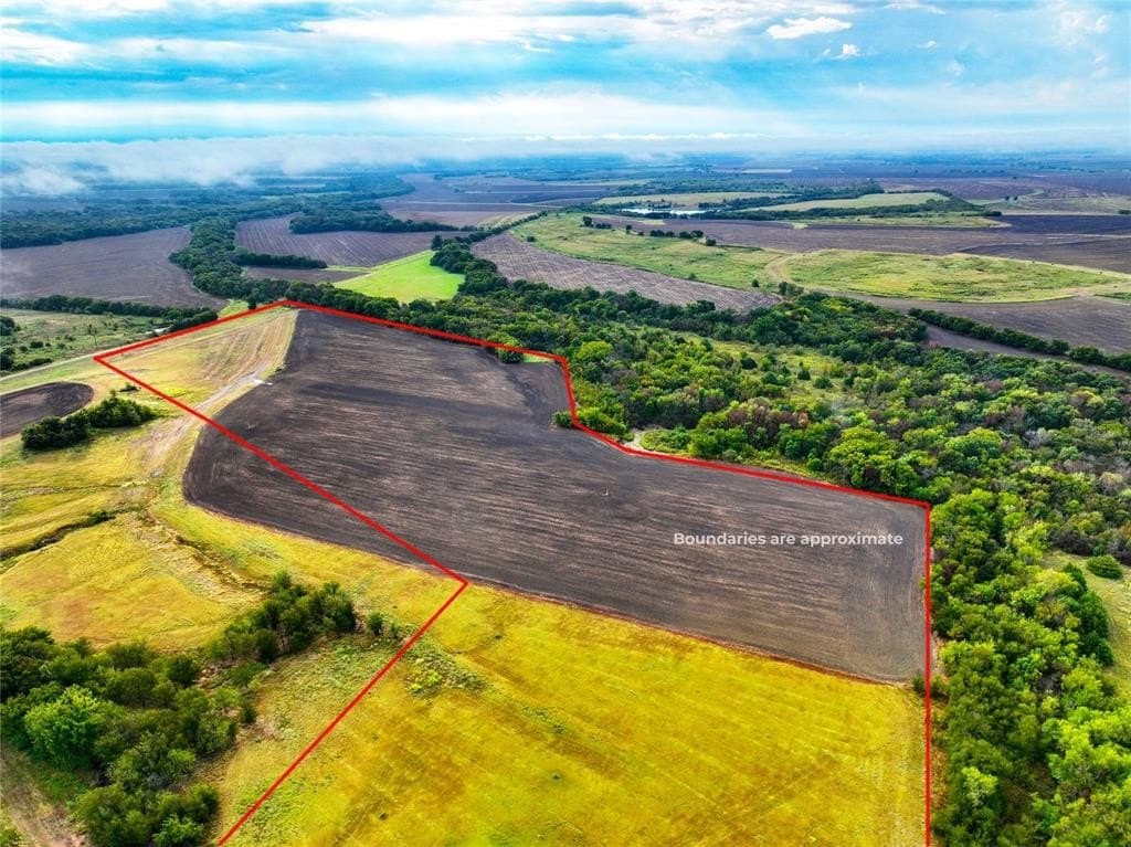 39.64 acres in Hill County - photo 4