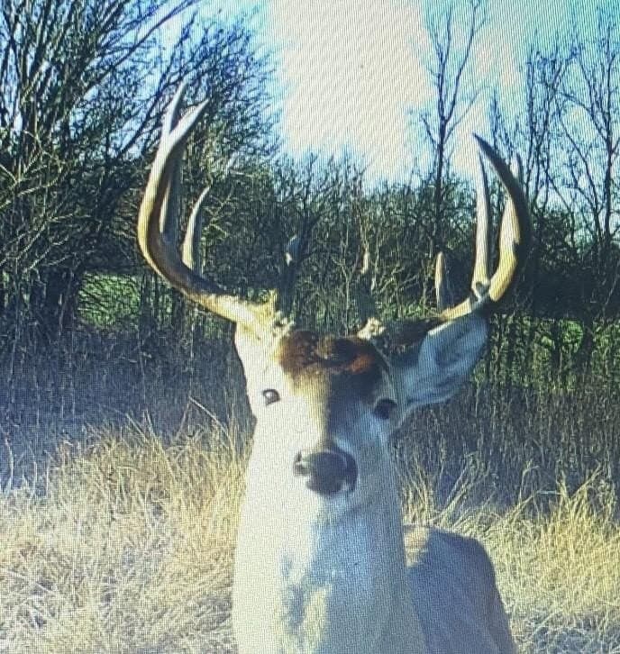 39.64 acres in Hill County - photo 17