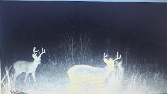 39.64 acres in Hill County - photo 19