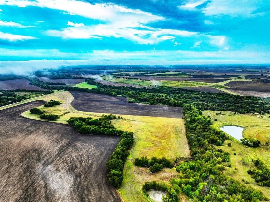 39.64 acres in Hill County - photo 9