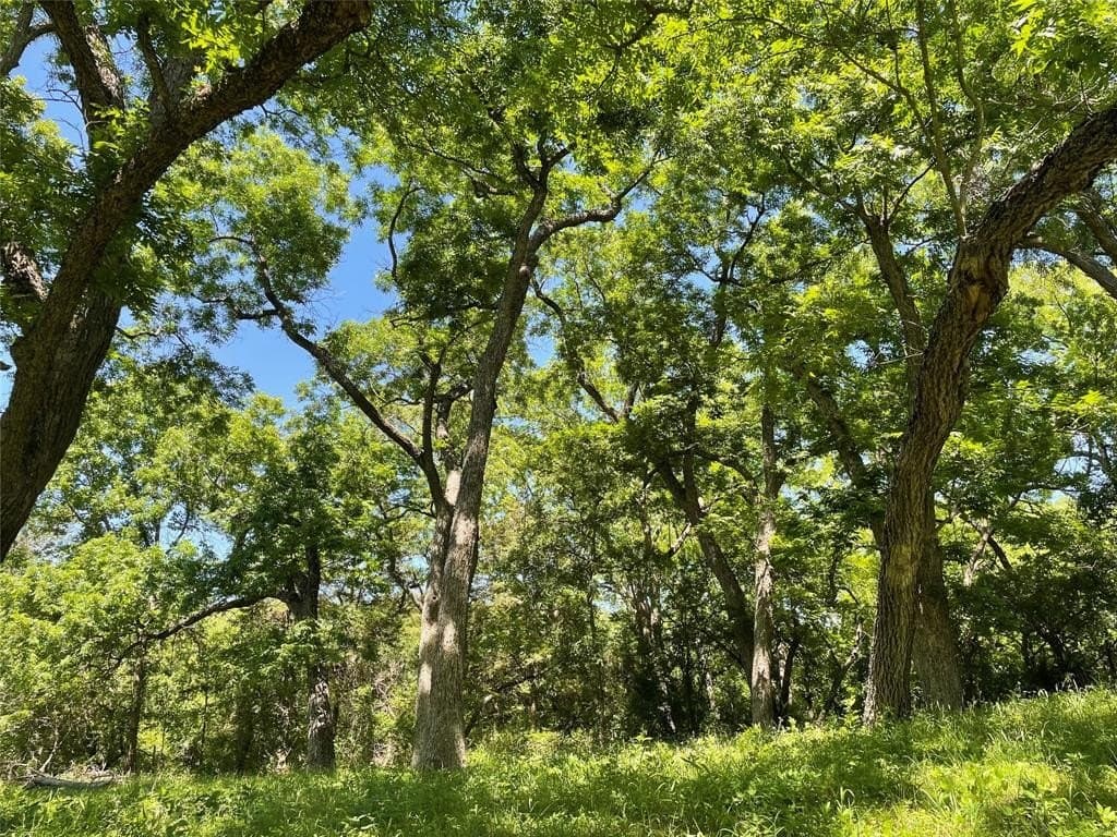 6.4 acres in McLennan County - photo 2