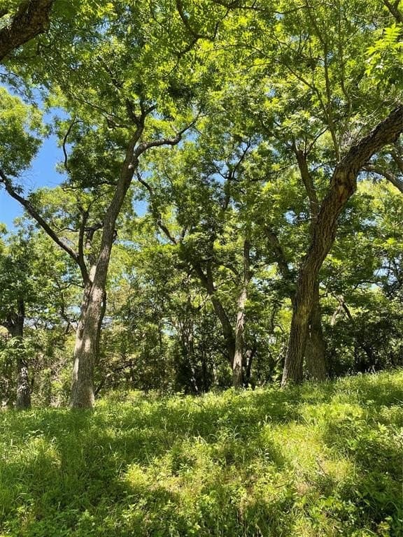 6.4 acres in McLennan County - photo 14