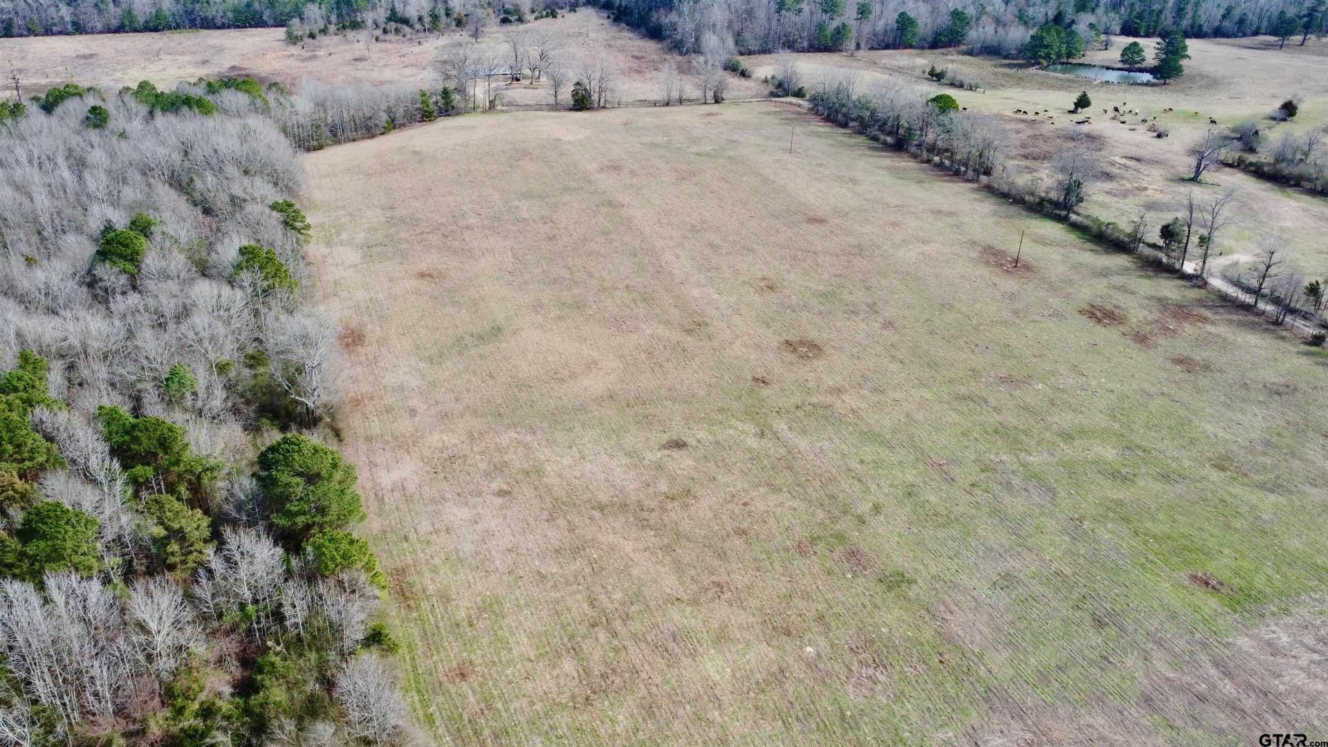 23.38 acres in Cass County - photo 5