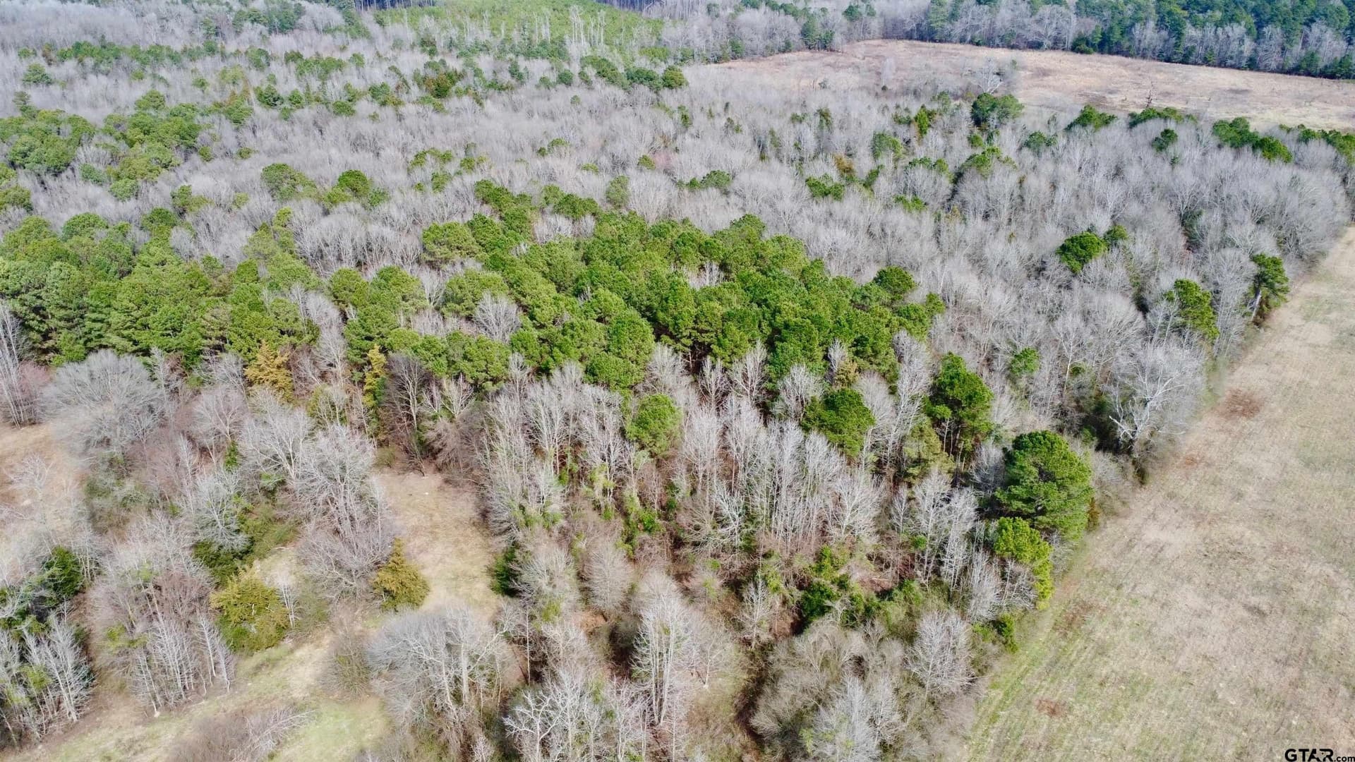 23.38 acres in Cass County - photo 3