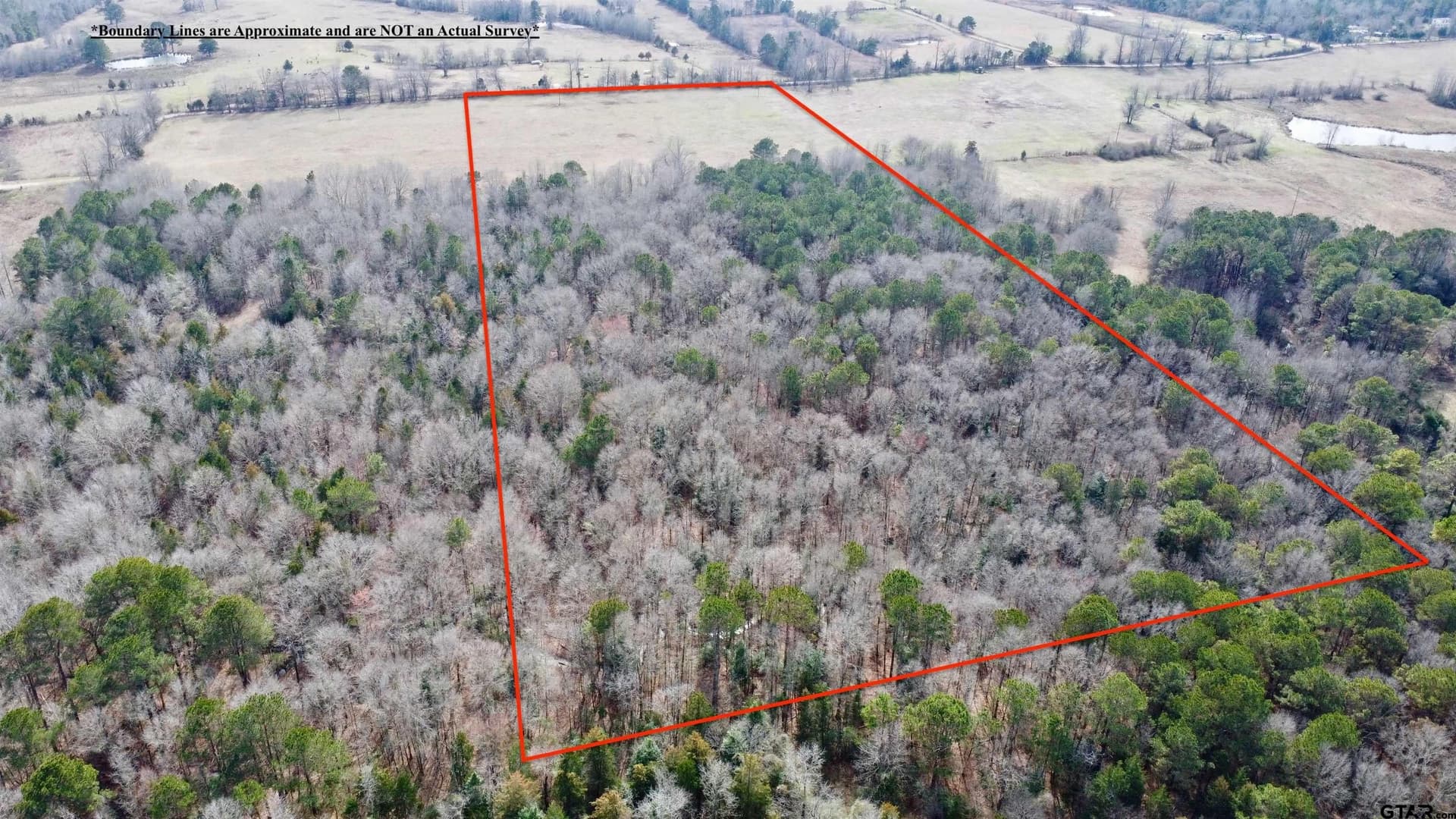 23.38 acres in Cass County - photo 6