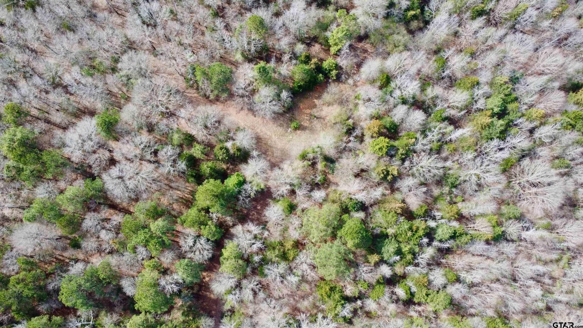 23.38 acres in Cass County - photo 2