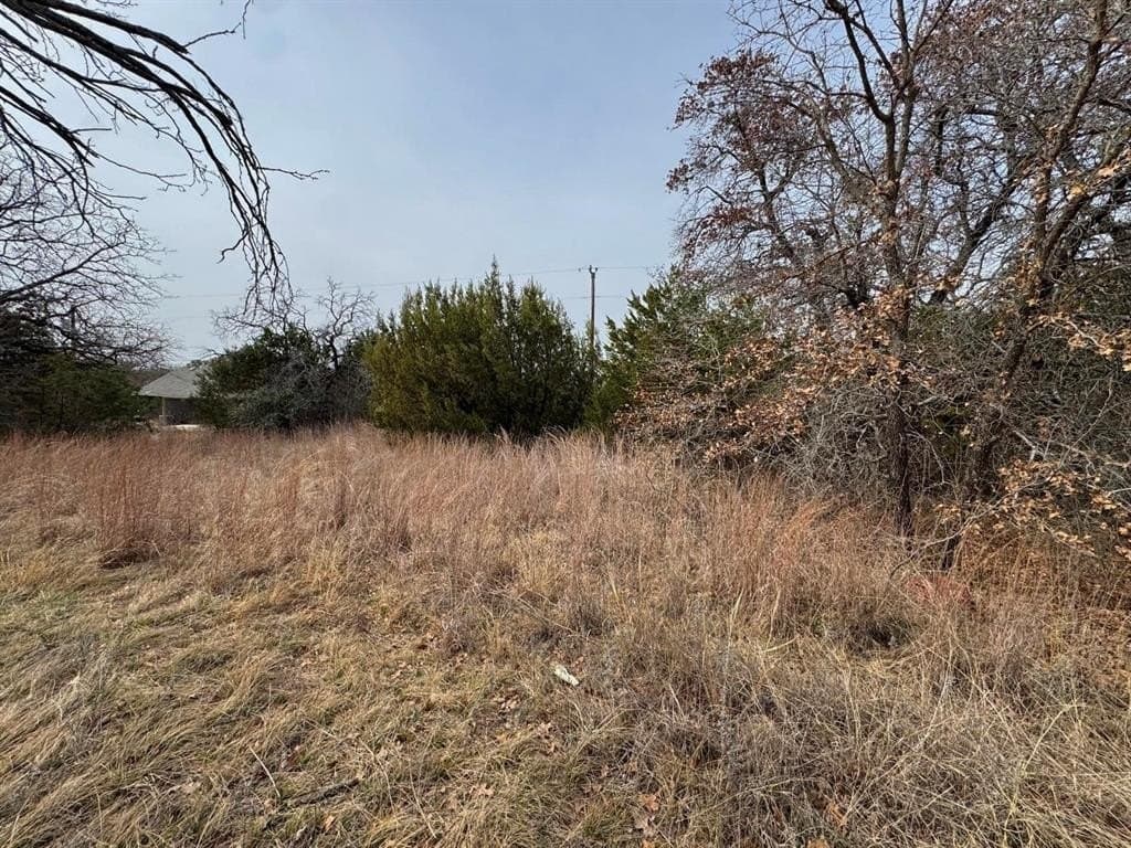 0.35 acres in Hood County - photo 2