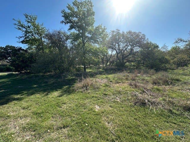 0.13 acres in Bell County - photo 2