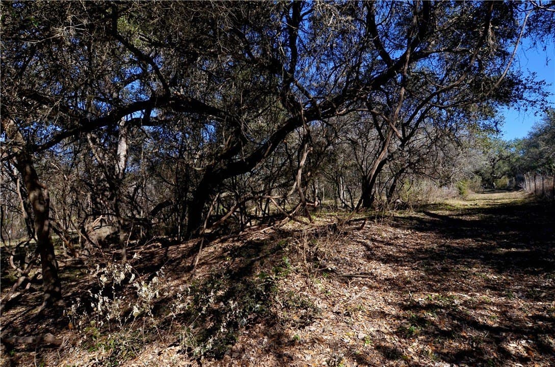9.17 acres in Bee County - photo 13