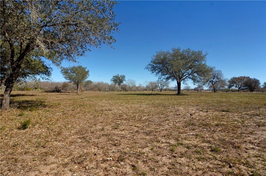 9.17 acres in Bee County - photo 9