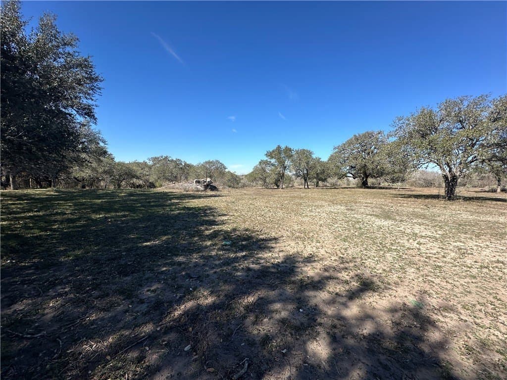 9.17 acres in Bee County - photo 3