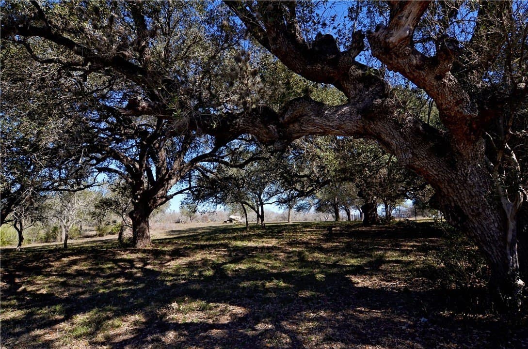 9.17 acres in Bee County - photo 14