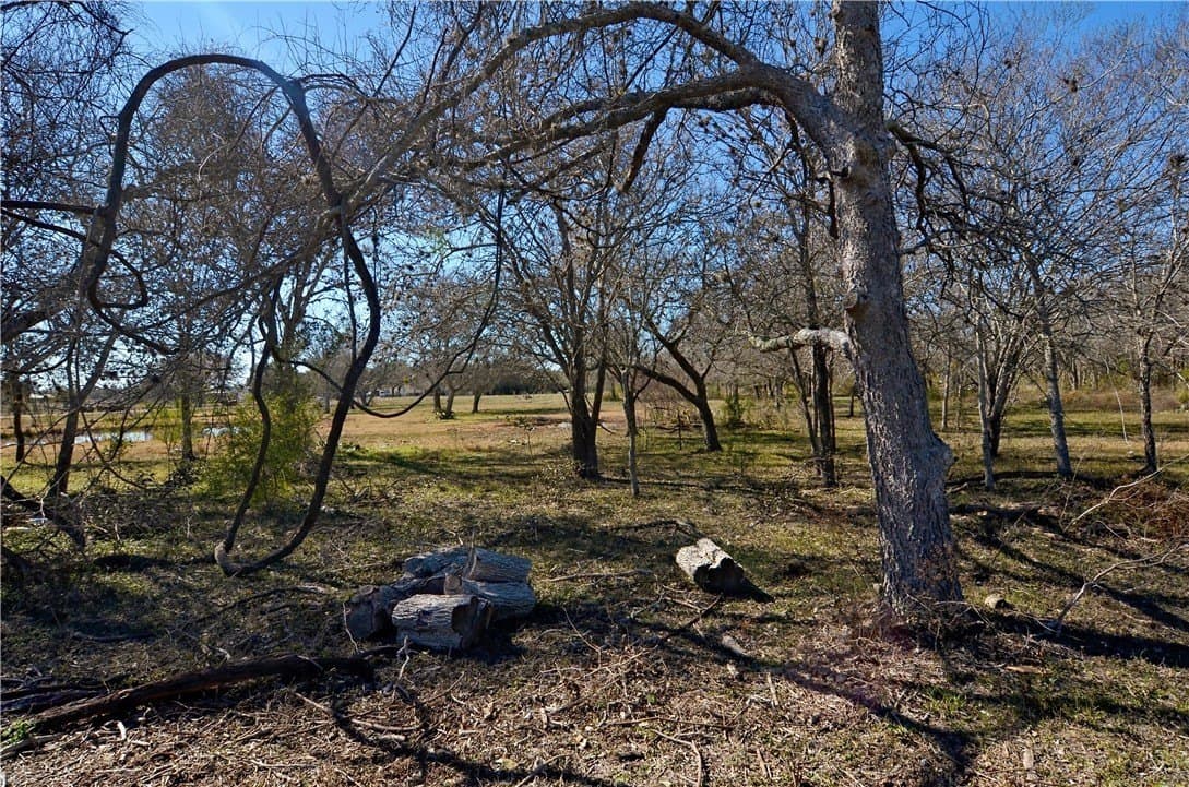 9.17 acres in Bee County - photo 5