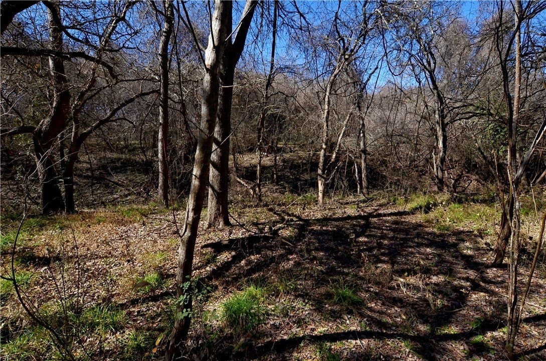 9.17 acres in Bee County - photo 10
