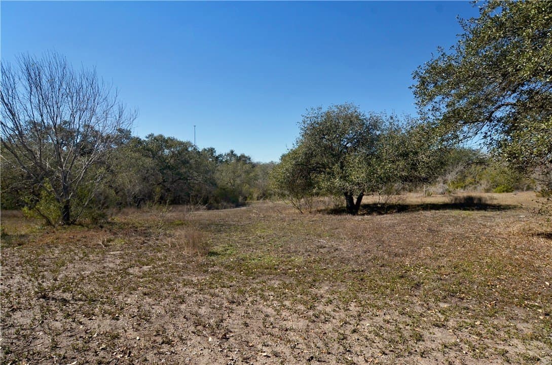 9.17 acres in Bee County - photo 8