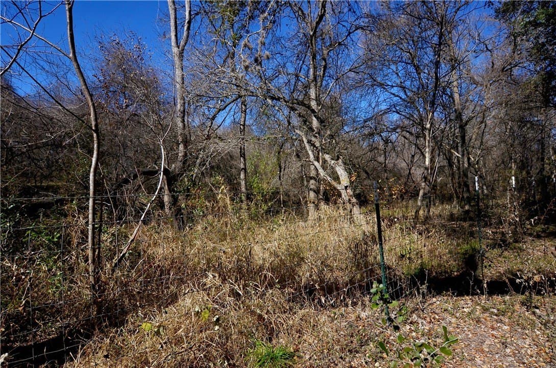 9.17 acres in Bee County - photo 11