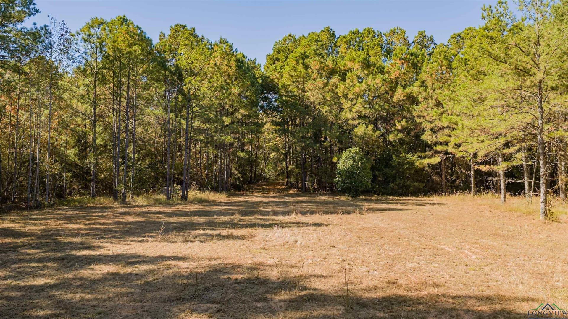 50 acres in Texas County - photo 15