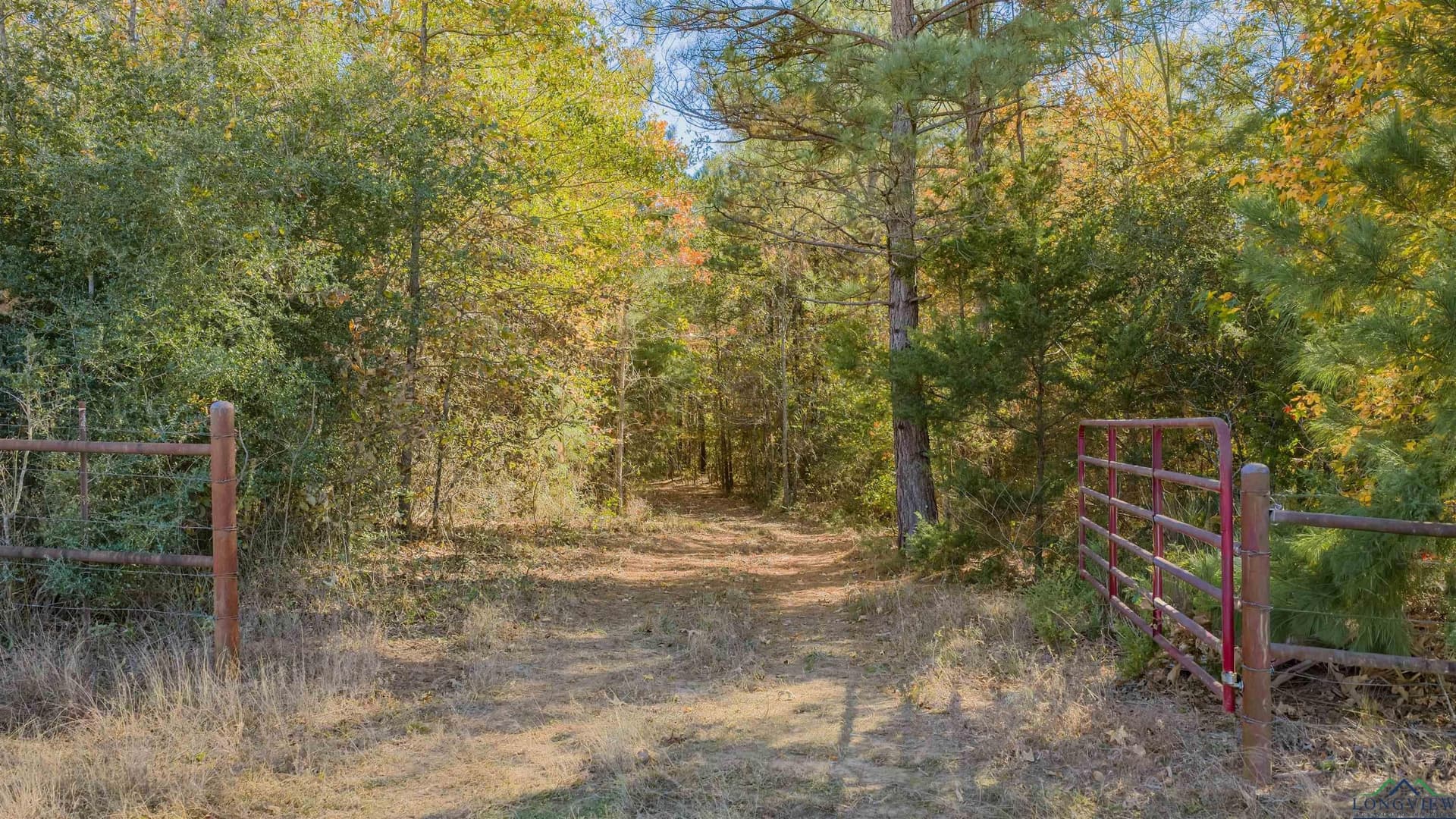 50 acres in Texas County - photo 19