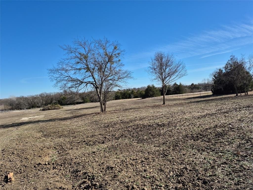 5 acres in Fannin County - photo 6