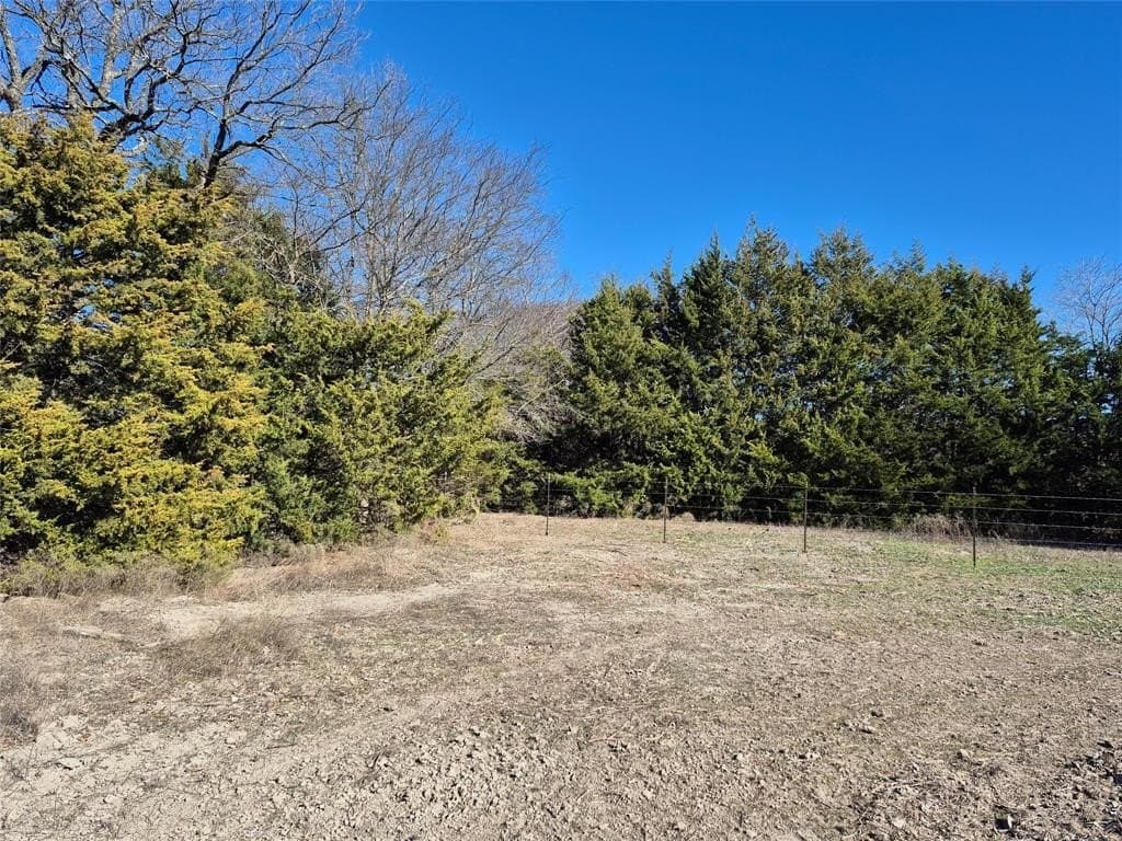 5 acres in Fannin County - photo 5