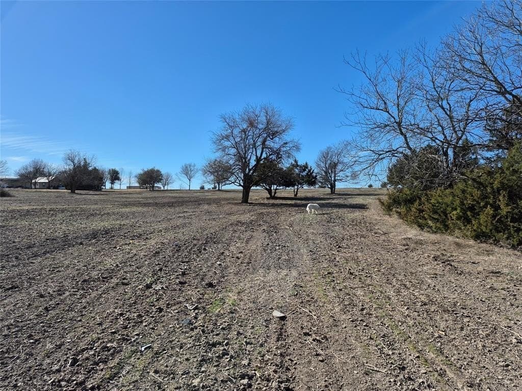 5 acres in Fannin County - photo 4