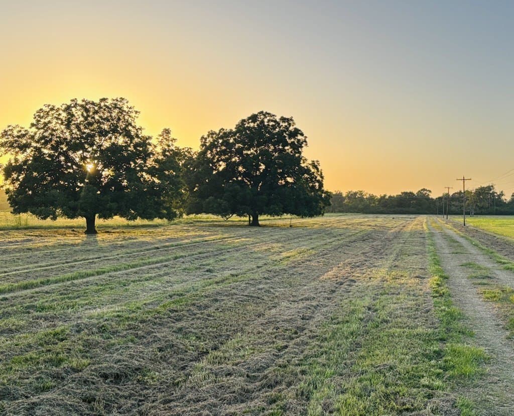 10.98 acres in Texas County - photo 2